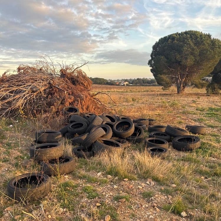Lot de pneus jettes  dans un champ
